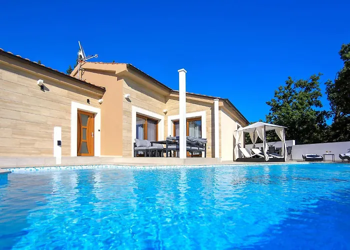 Awesome In 스타리그라드 파클레니차